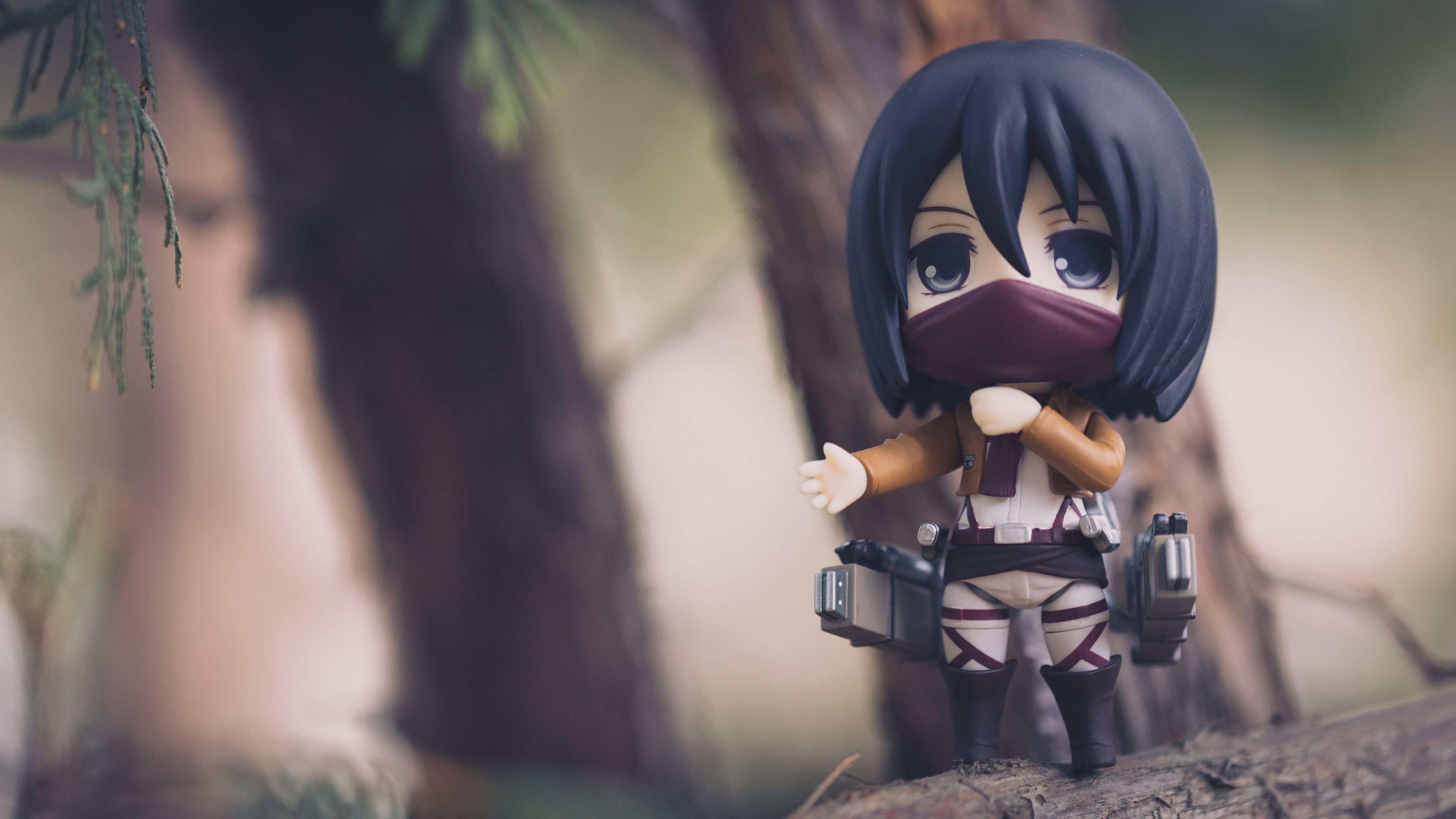 Mikasa Ackerman Wallpaper Hd Pc - HD Wallpaper 