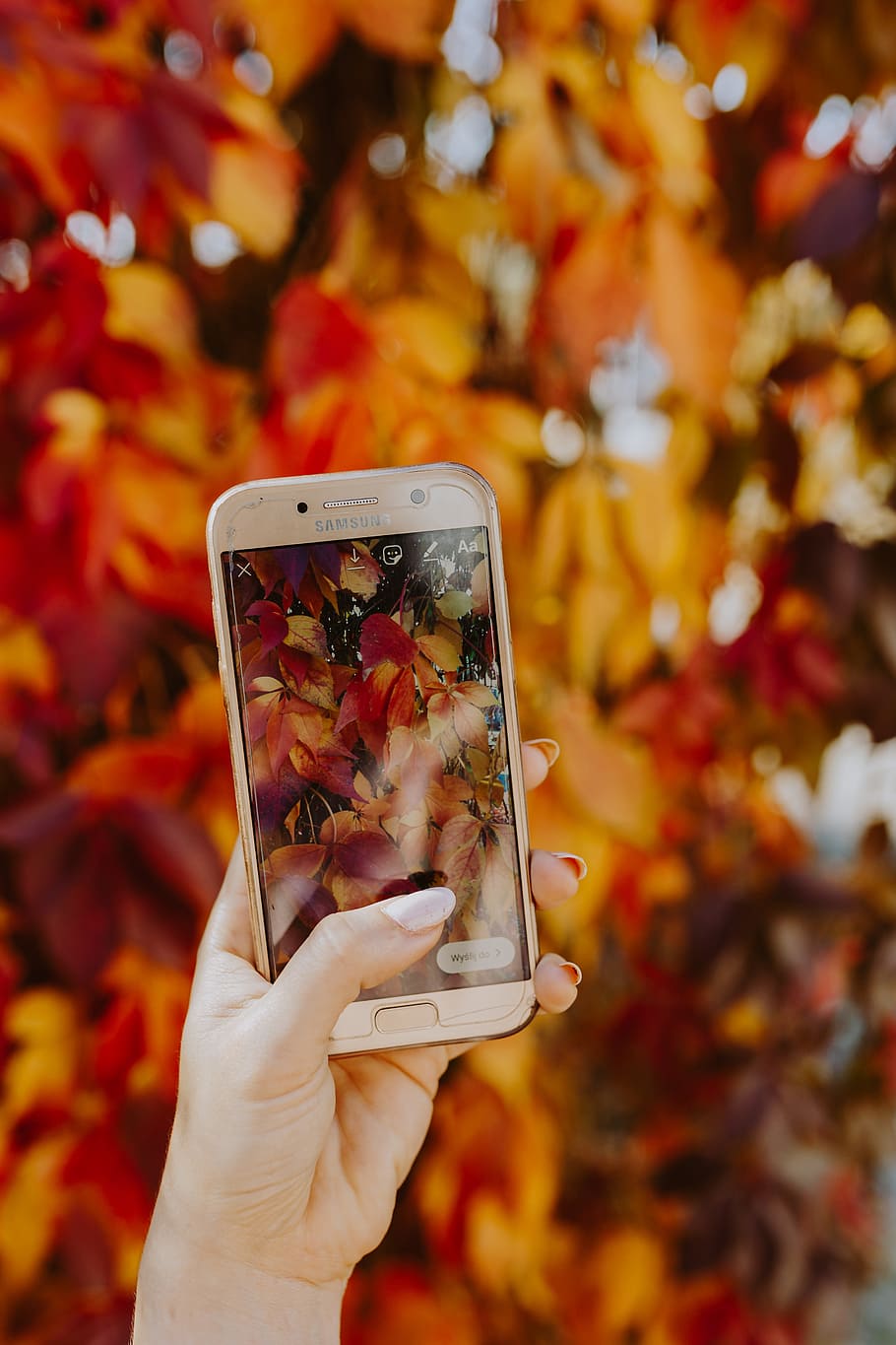The Woman Takes A Picture Of The Autumn Leaves With - Smartphone - HD Wallpaper 