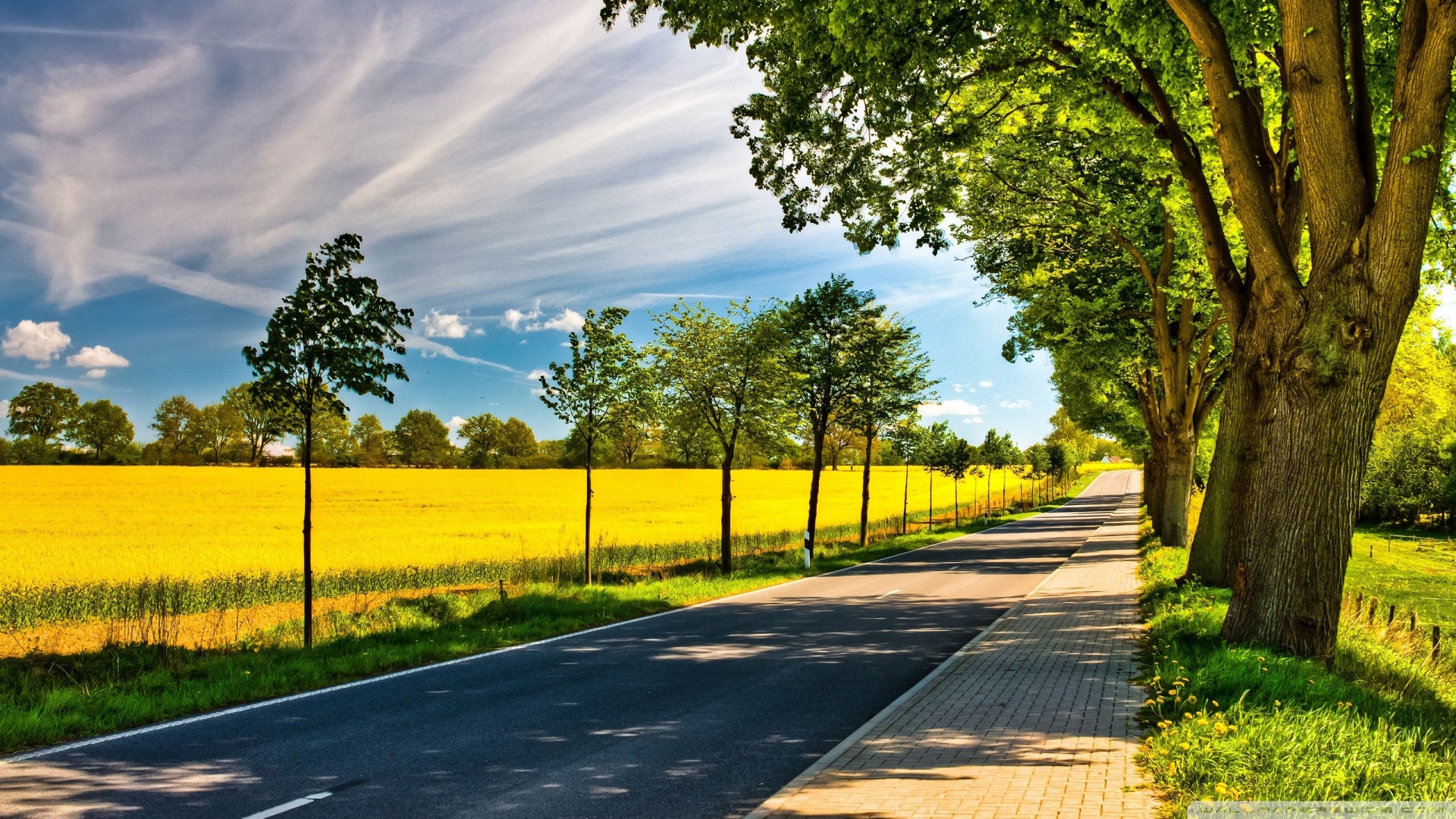 Hd Wallpapers Of Landscape - 1920x1080 Wallpaper Hd Wallpapers Of Landscape - 1920x1080 Wallpaper