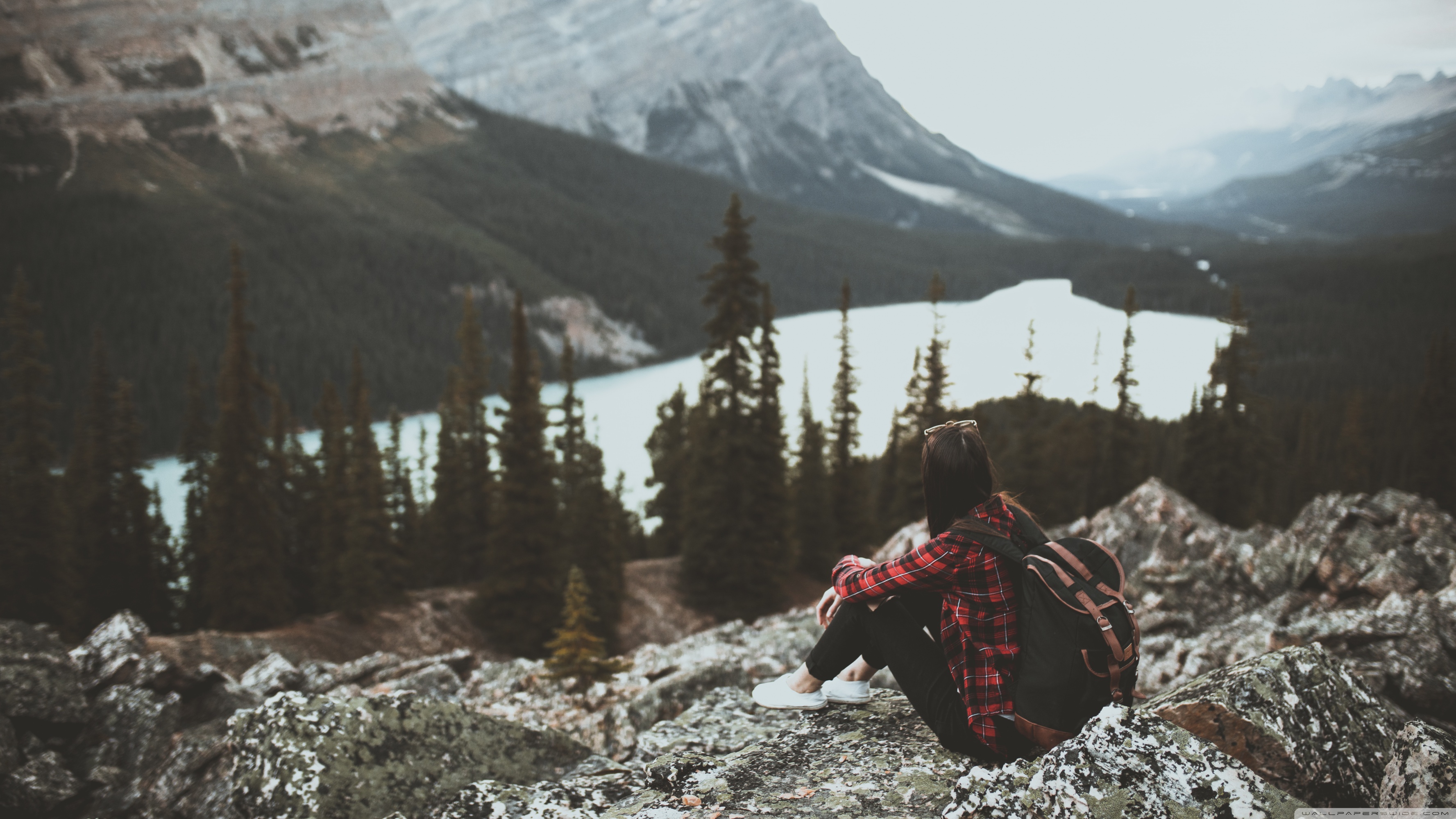 Peyto Lake - HD Wallpaper 