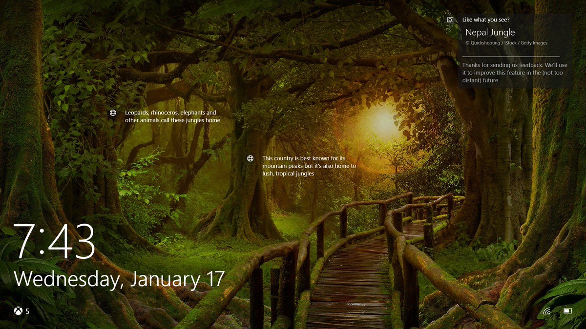 Tropical Jungle - HD Wallpaper 