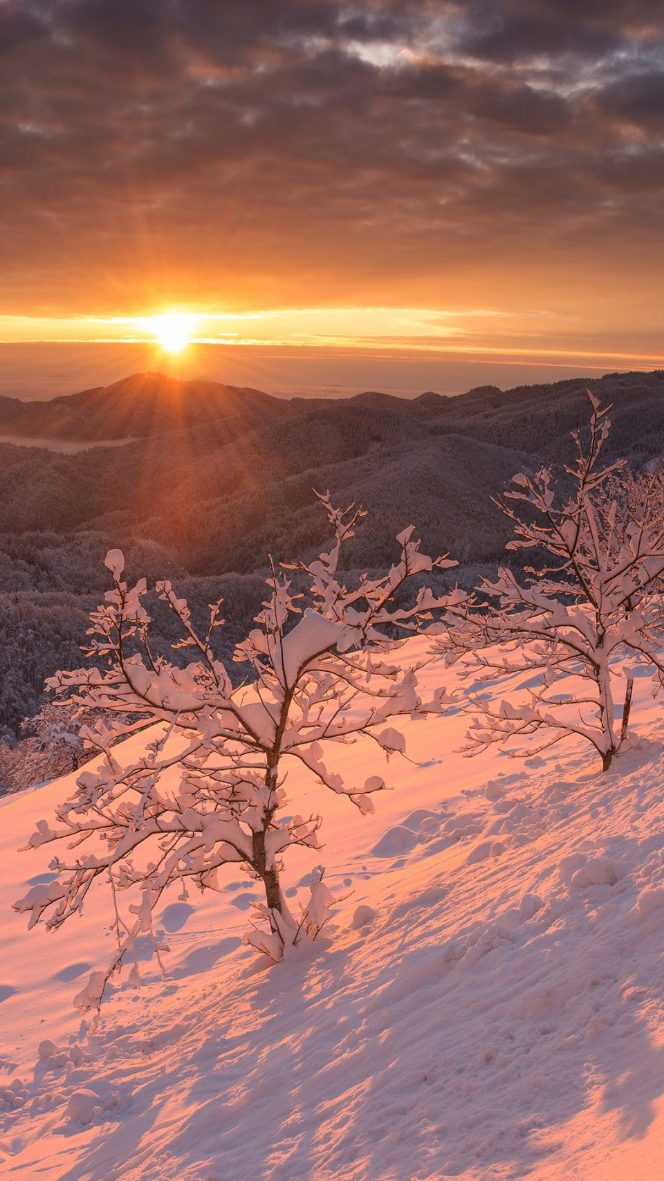 Winter Wallpaper Iphone - HD Wallpaper 