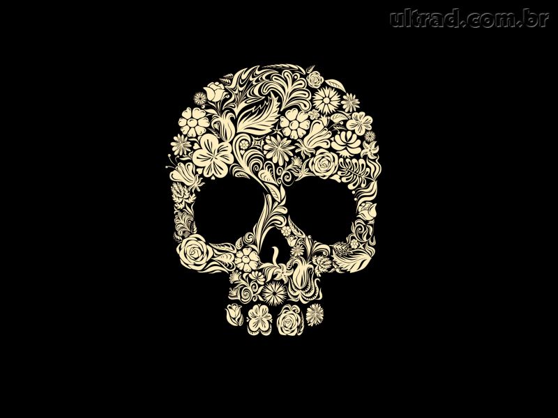 Skull Image - Skeleton Desktop Backgrounds - HD Wallpaper 