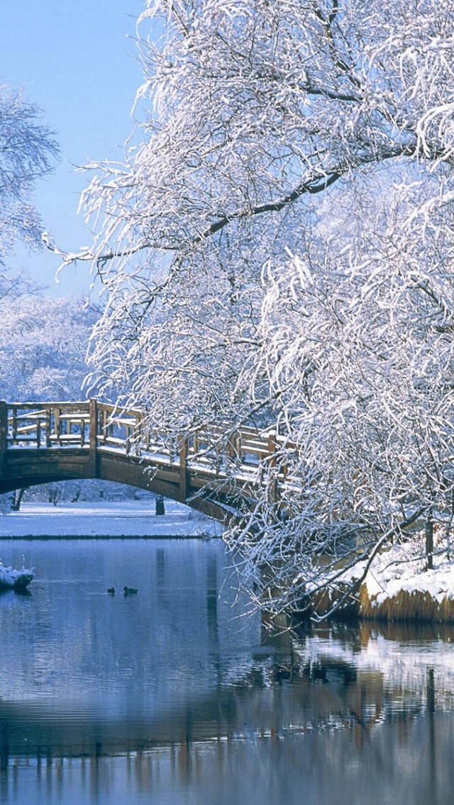 Iphone 5 Wallpaper Winter - HD Wallpaper 