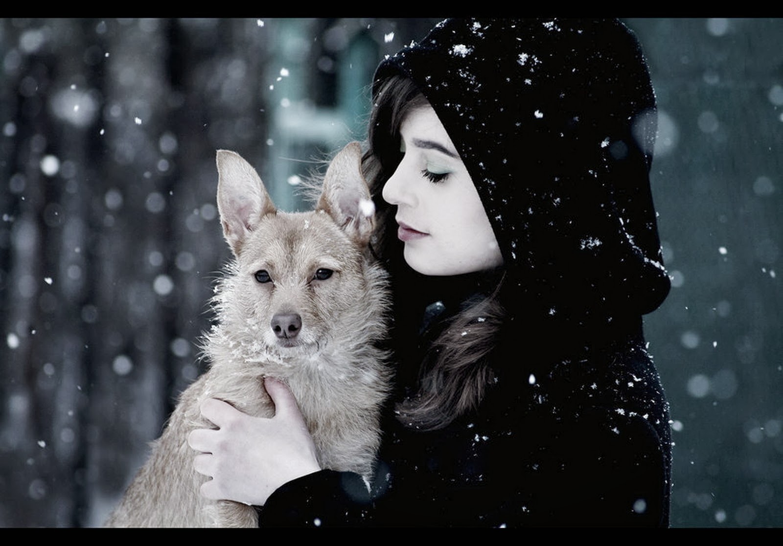 Cute Girls With Dog - HD Wallpaper 