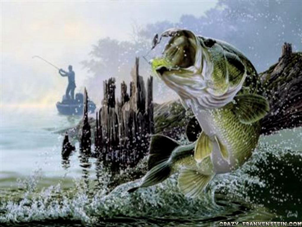 Bass Fishing Backgrounds - HD Wallpaper 