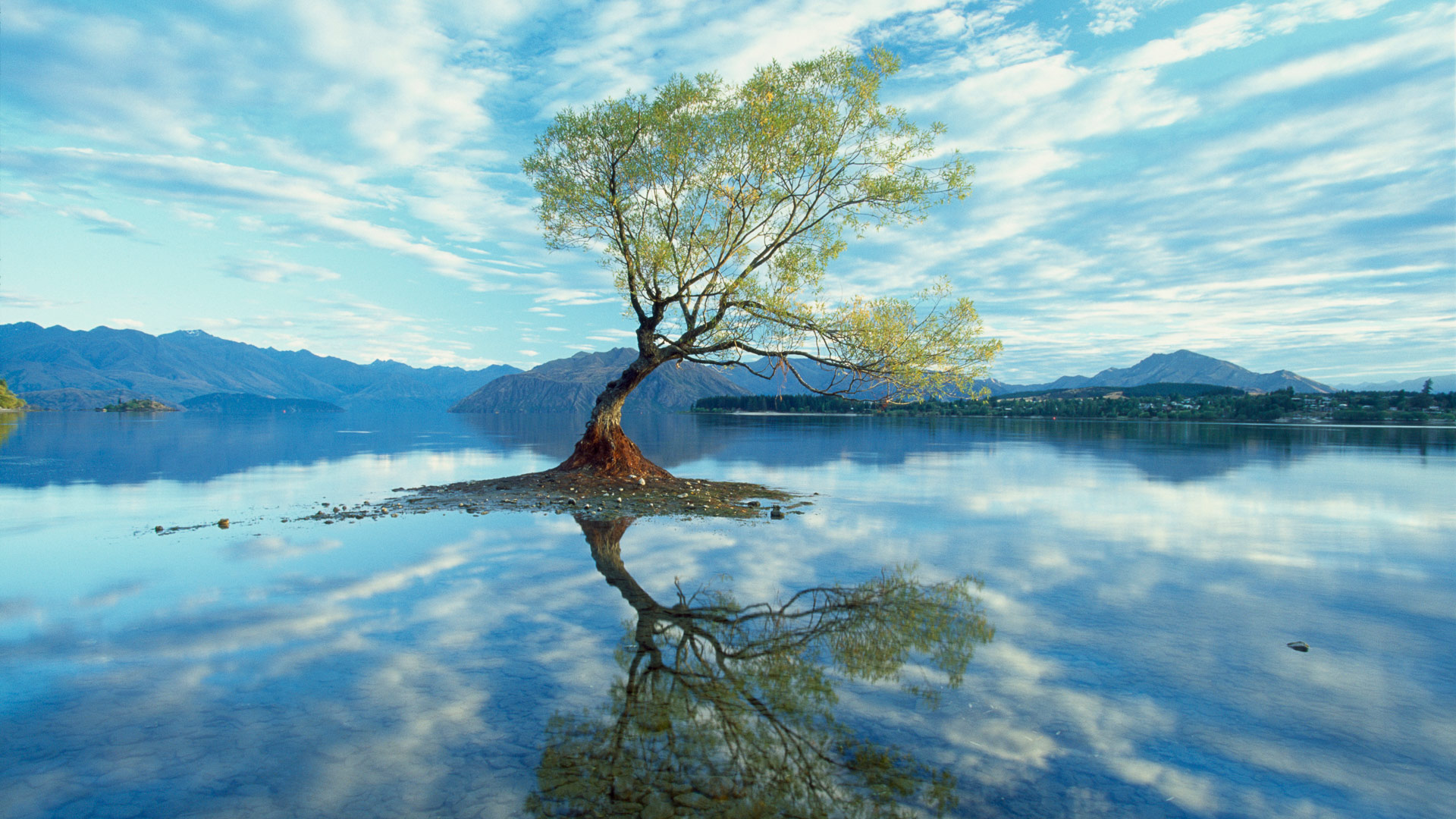 Collection Of Windows Spotlight Wallpapers - Windows Spotlight Wallpaper 4k - 1920x1080 Wallpaper Collection Of Windows Spotlight Wallpapers - Windows Spotlight Wallpaper 4k - 1920x1080 Wallpaper