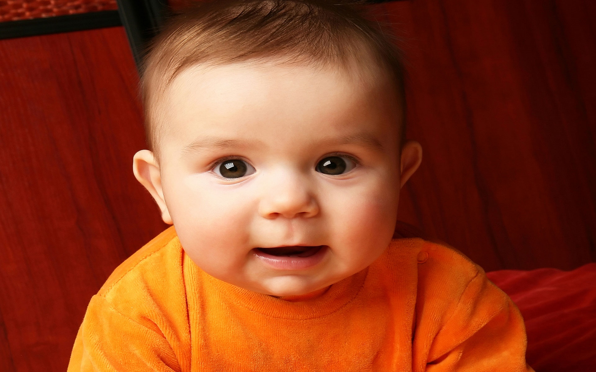 Close Up Shot Baby - HD Wallpaper 