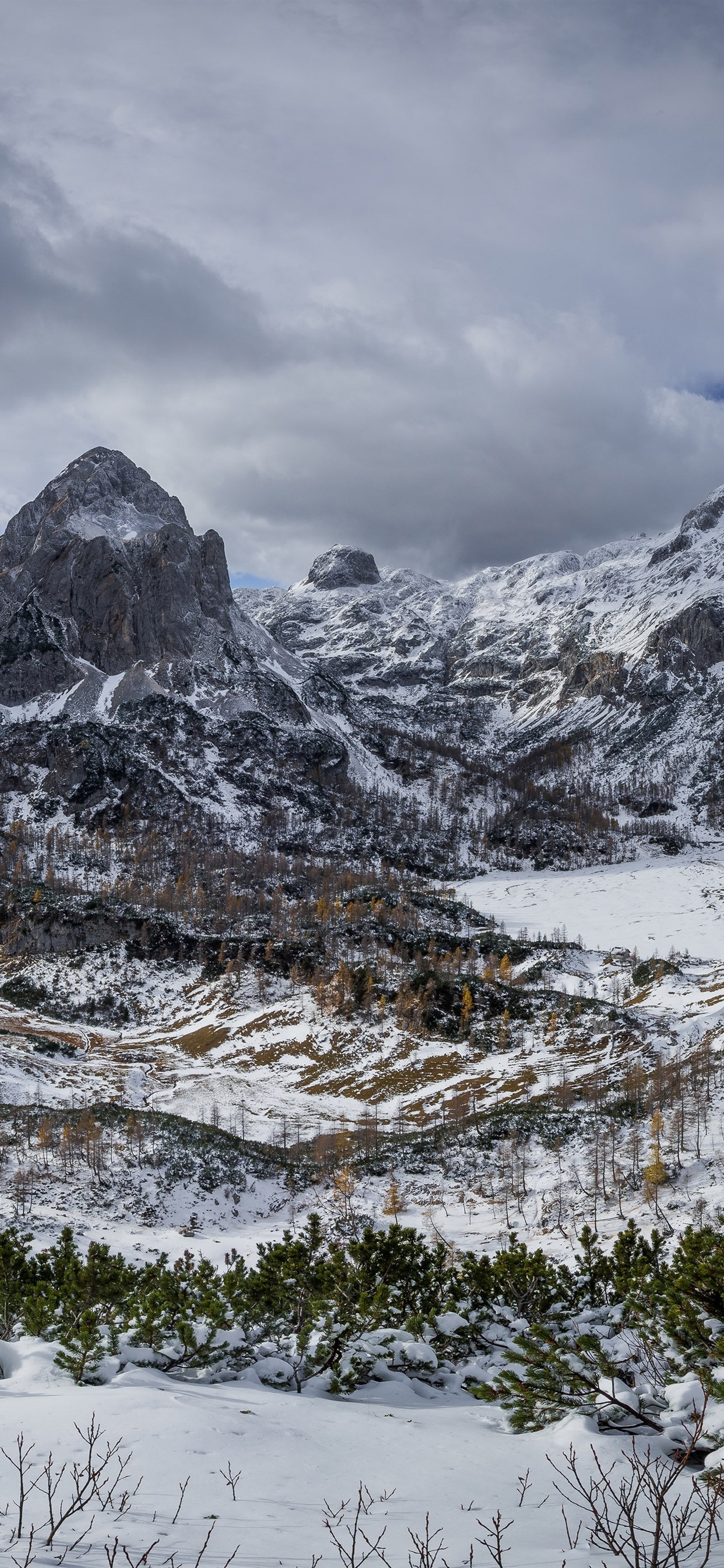 Iphone Wallpaper Mountains, Trees, Snow, Winter, Clouds - Iphone Xs Max Winter Background - HD Wallpaper 