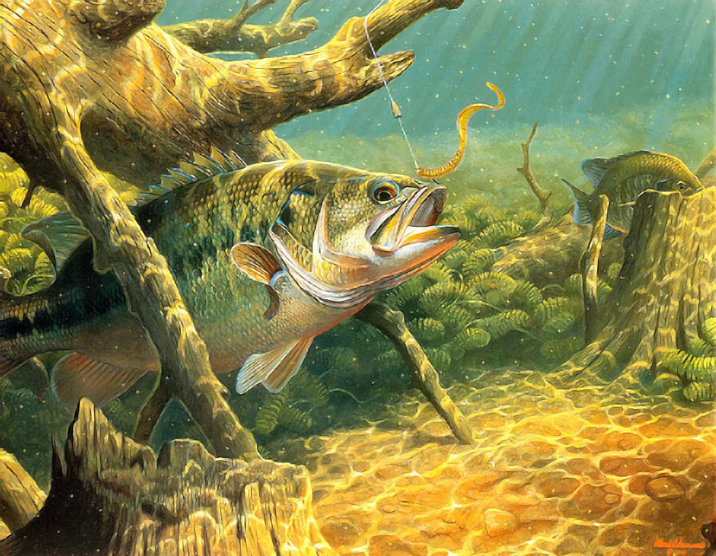 Bass Fishing Wallpaper - HD Wallpaper 