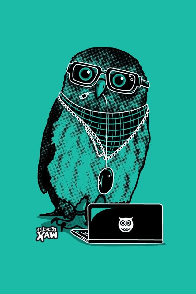 Owl Wallpaper Iphone Hd - HD Wallpaper 