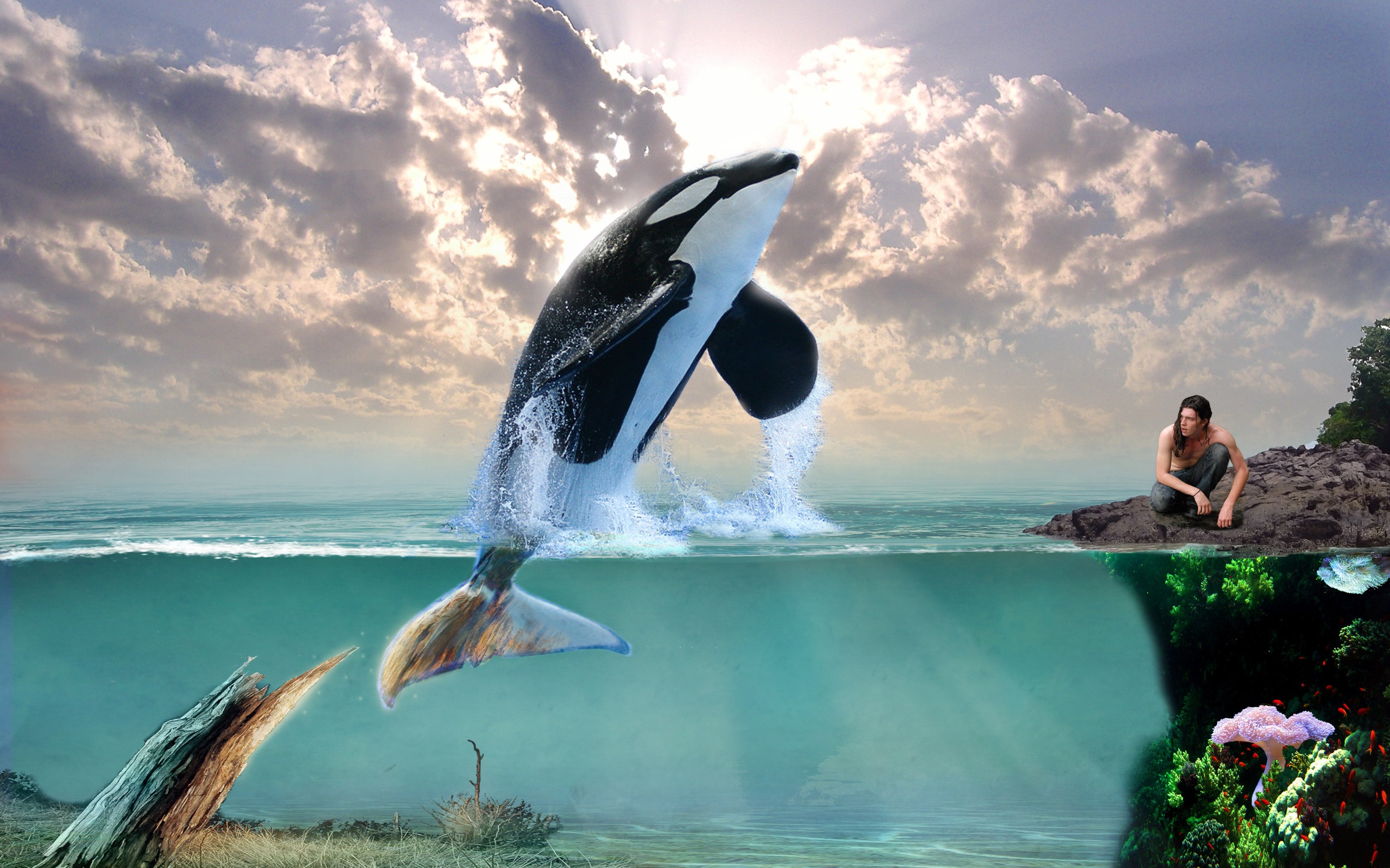 Blue Whale 3d Art Wallpaper - Fantasy Castle - HD Wallpaper 