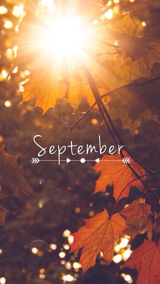 September Fall Backgrounds - HD Wallpaper 
