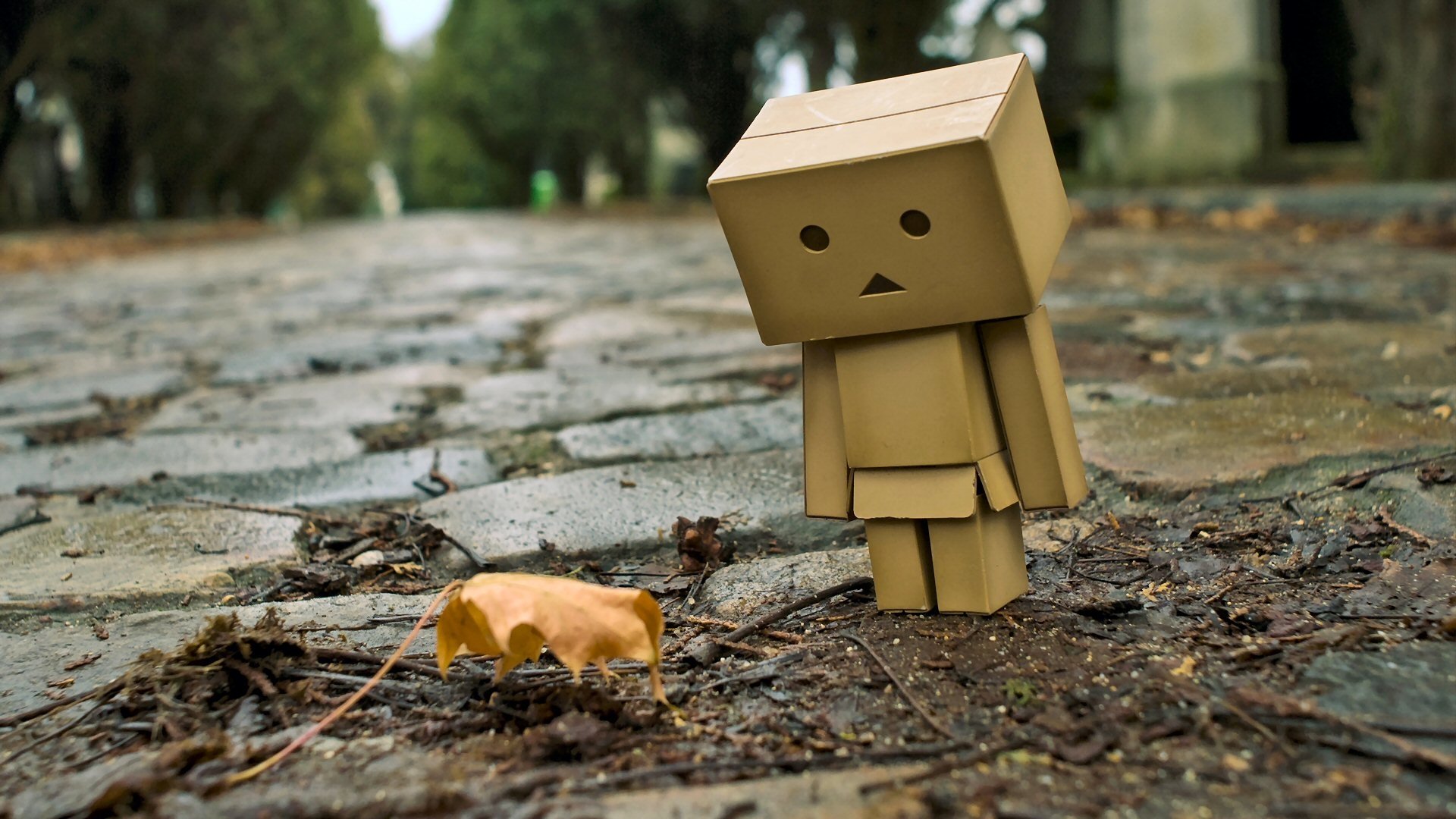 Danbo Hd - HD Wallpaper 