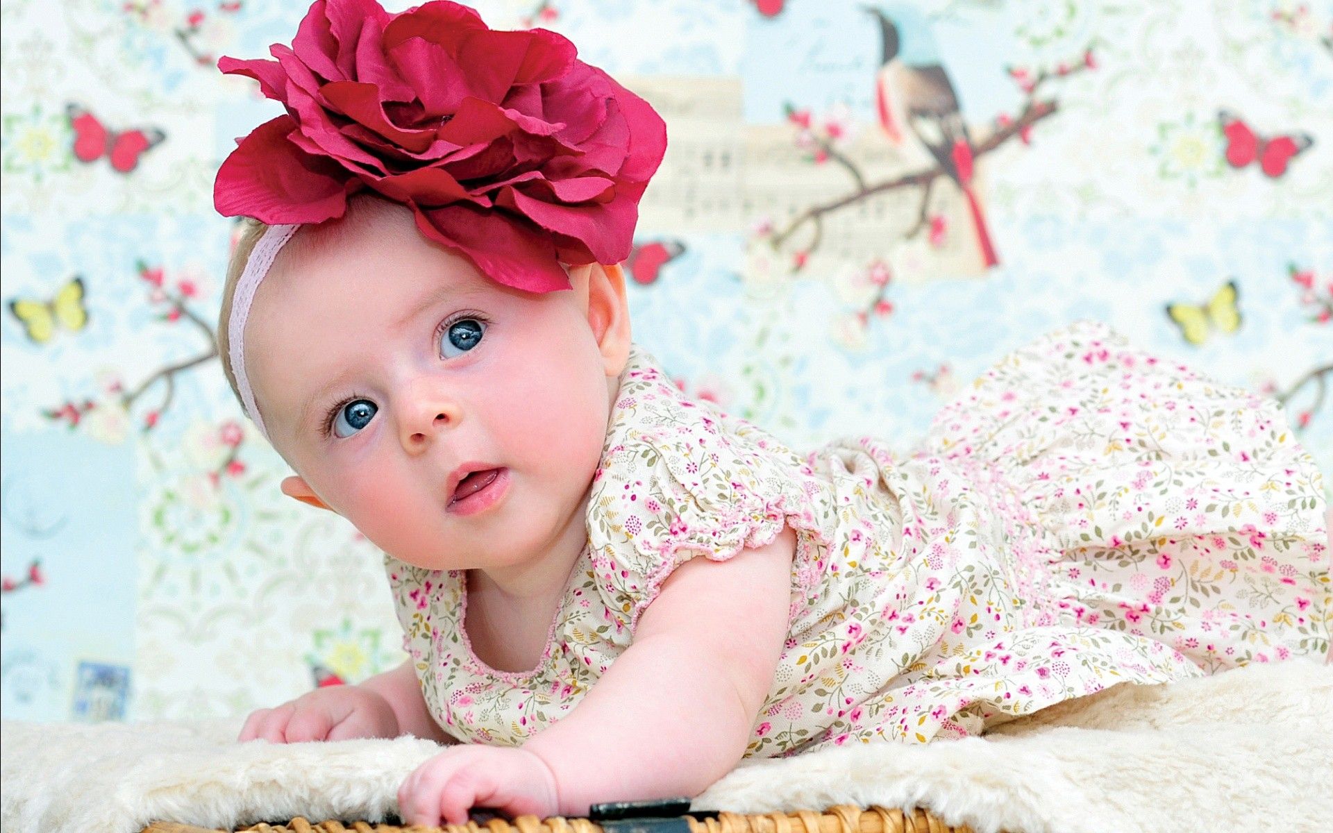 Cute Cute Child Flowers Wallpapers - Baby Girl Wallpapers Free Download - 1920x1200 Wallpaper Cute Cute Child Flowers Wallpapers - Baby Girl Wallpapers Free Download - 1920x1200 Wallpaper
