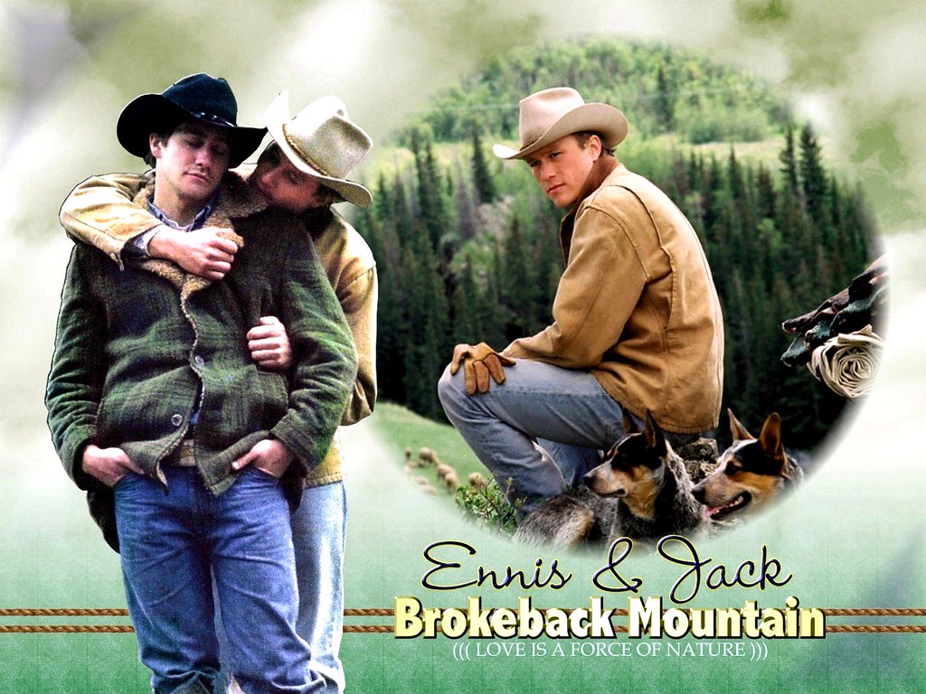 Brokeback Mountain Dog - HD Wallpaper 