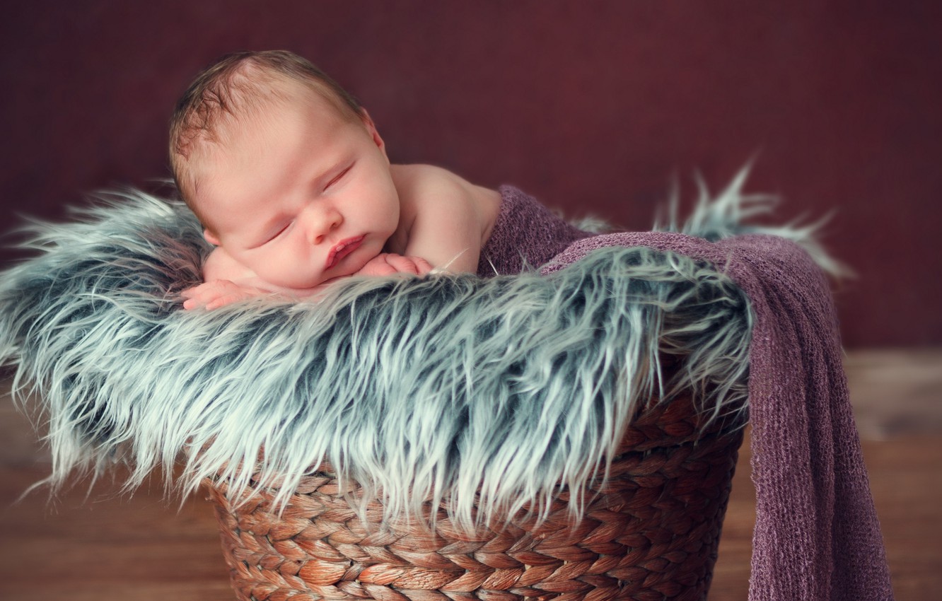 Photo Wallpaper Child, Sleep, Boy, Sleeping, Fur, Basket, - Sweet Baby In Basket - HD Wallpaper 