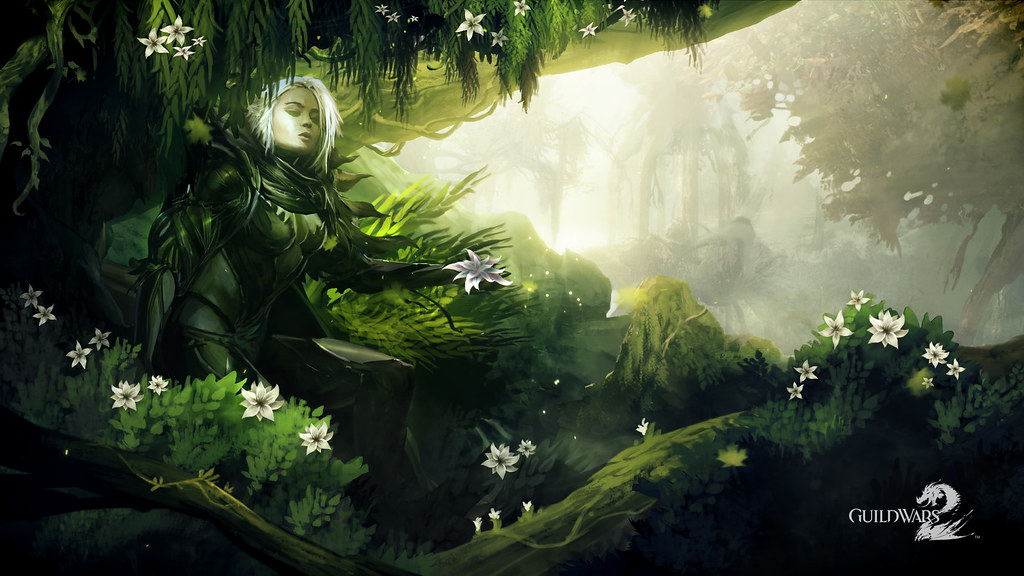 Guild Wars 2 Caithe - HD Wallpaper 