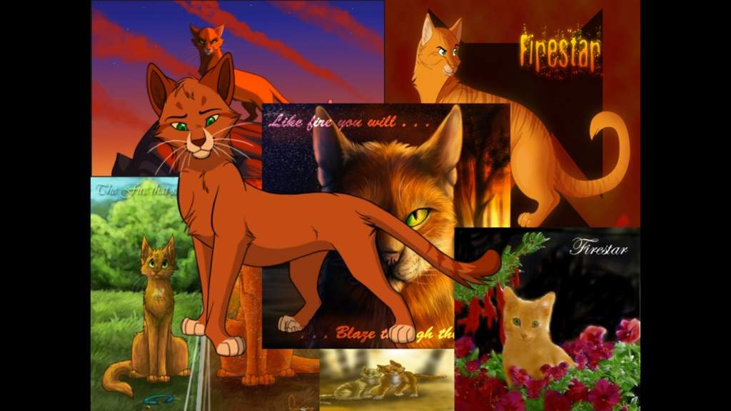 User Uploaded Image - Warrior Cats Firestar Family - HD Wallpaper 