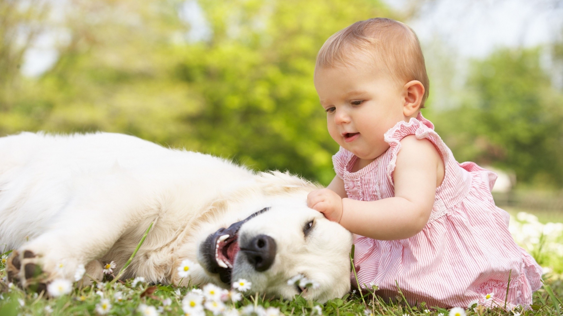 Sweet Baby Wallpaper - HD Wallpaper 
