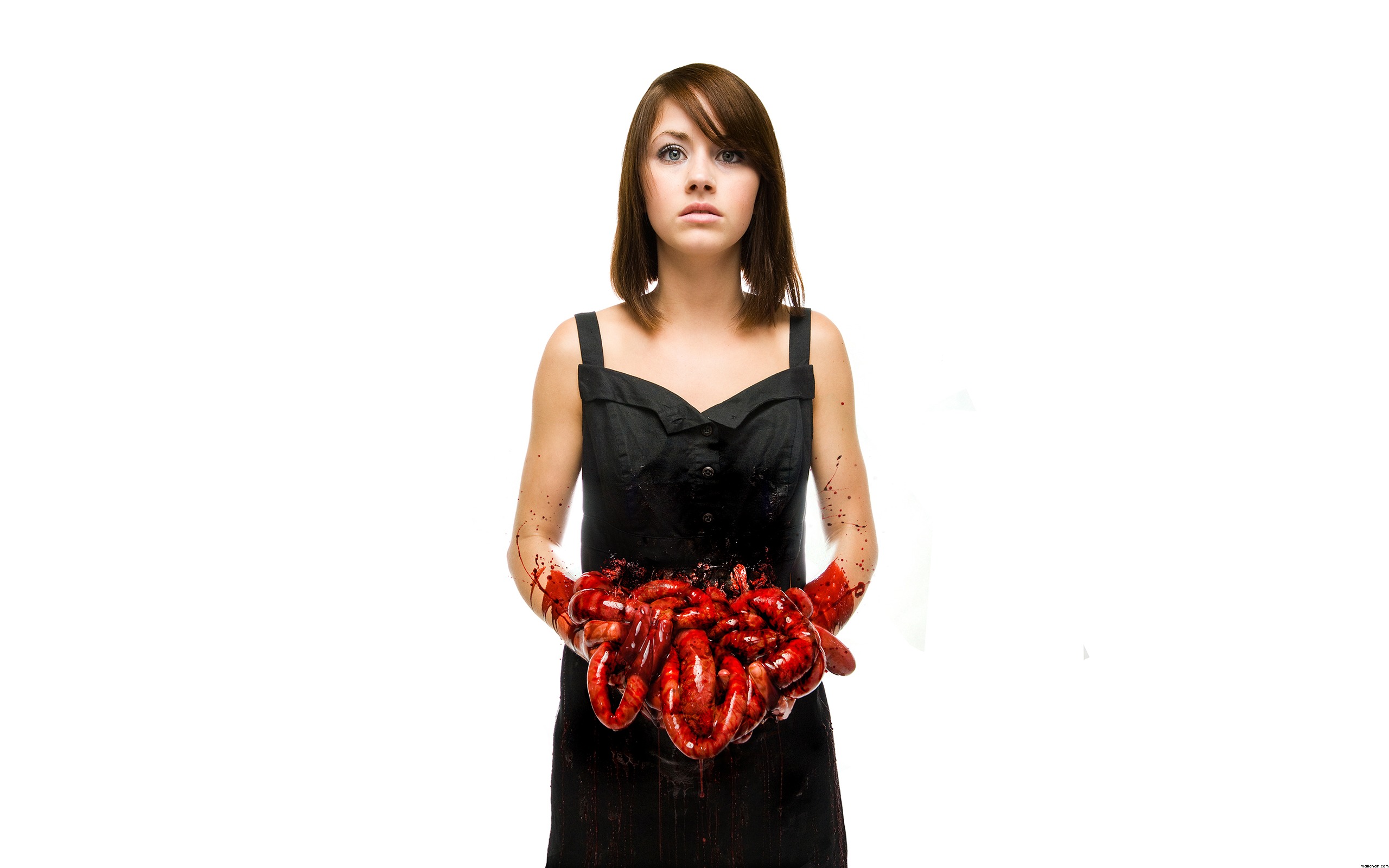 Wallpaper Of Bring Me The Horizon, Suicide Season Background - Bmth Suicide Season - HD Wallpaper 