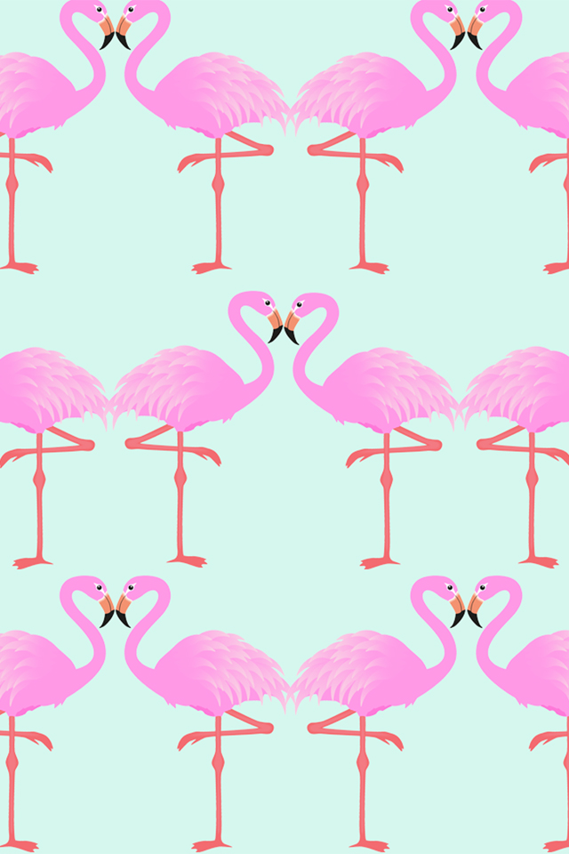 Fondos De Pantalla De Flamingos Hd - HD Wallpaper 