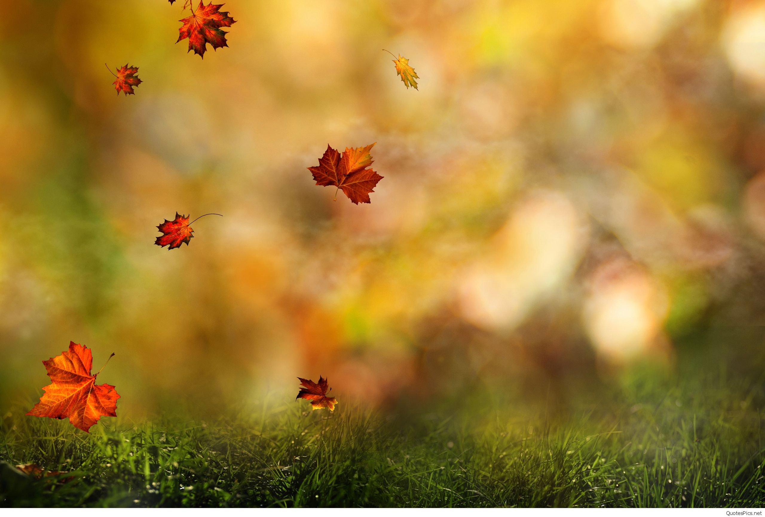 September Wallpapers - O1wg333 - HD Wallpaper 