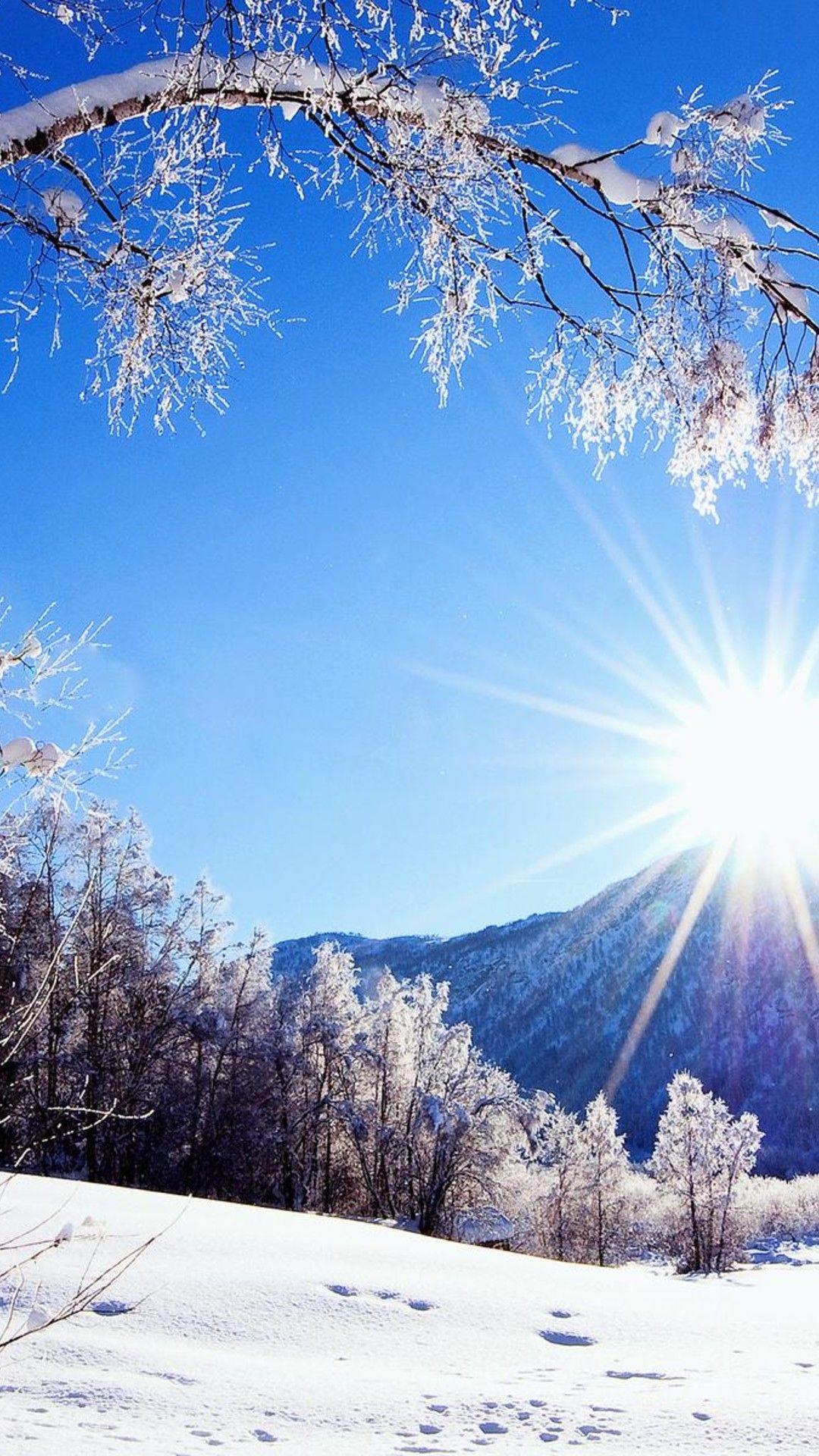 Winter Season Hd Wallpaper Download - 1080x1920 Wallpaper Winter Season Hd Wallpaper Download - 1080x1920 Wallpaper