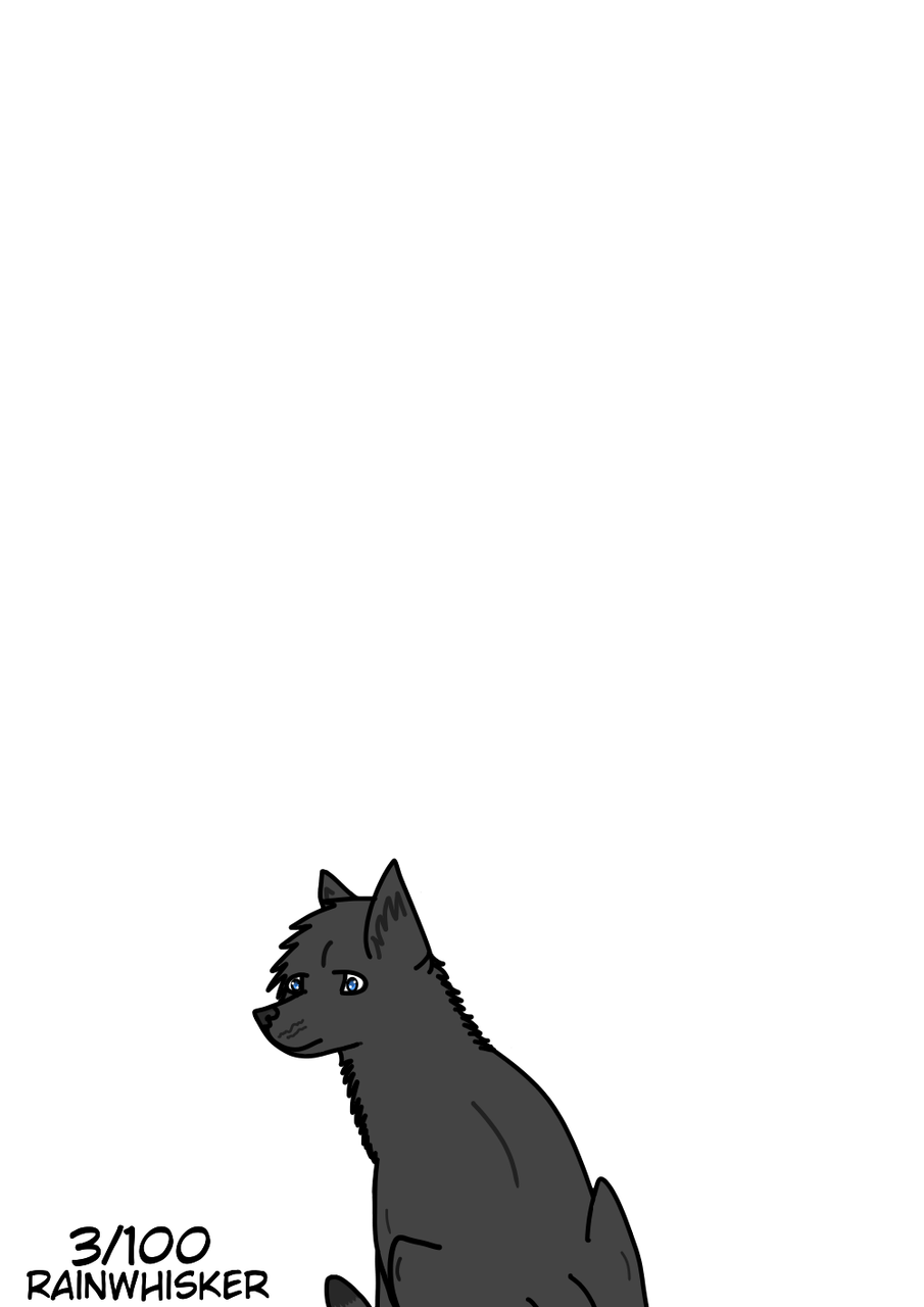 Warrior Cat Challenge - Black Cat - HD Wallpaper 