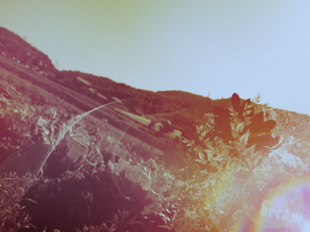 Fb Cover Quotes Risk - HD Wallpaper 