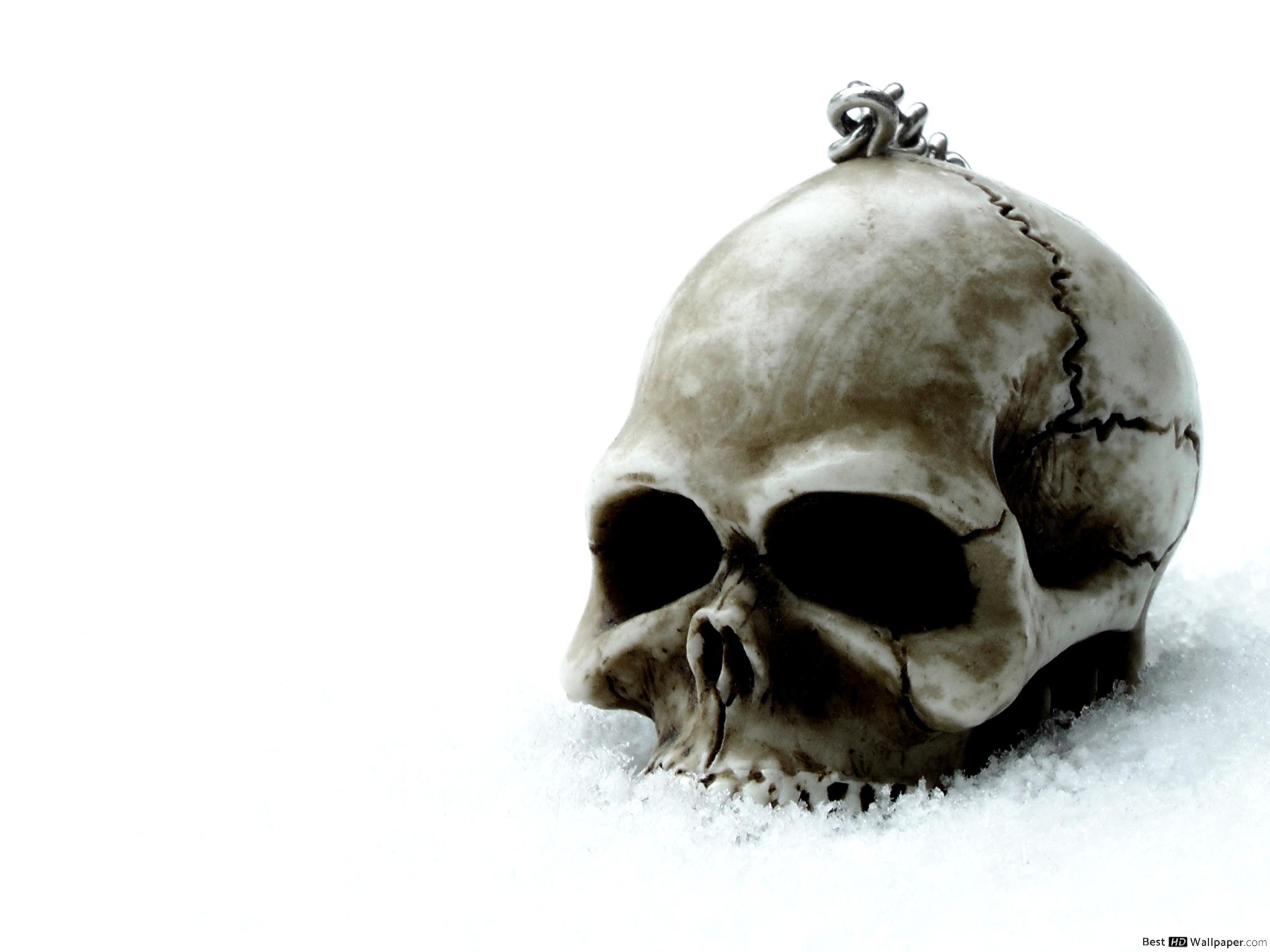 Wallpaper - HD Wallpaper 