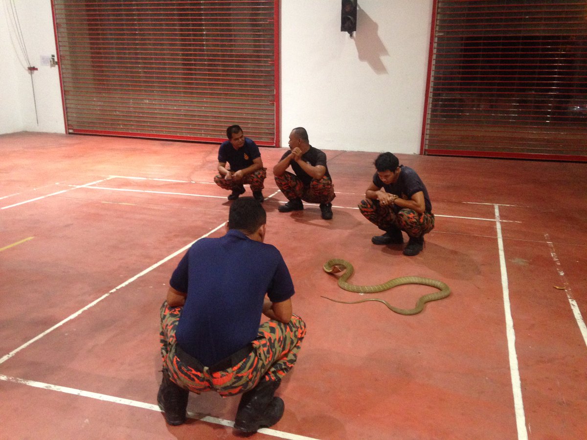 Floor - HD Wallpaper 