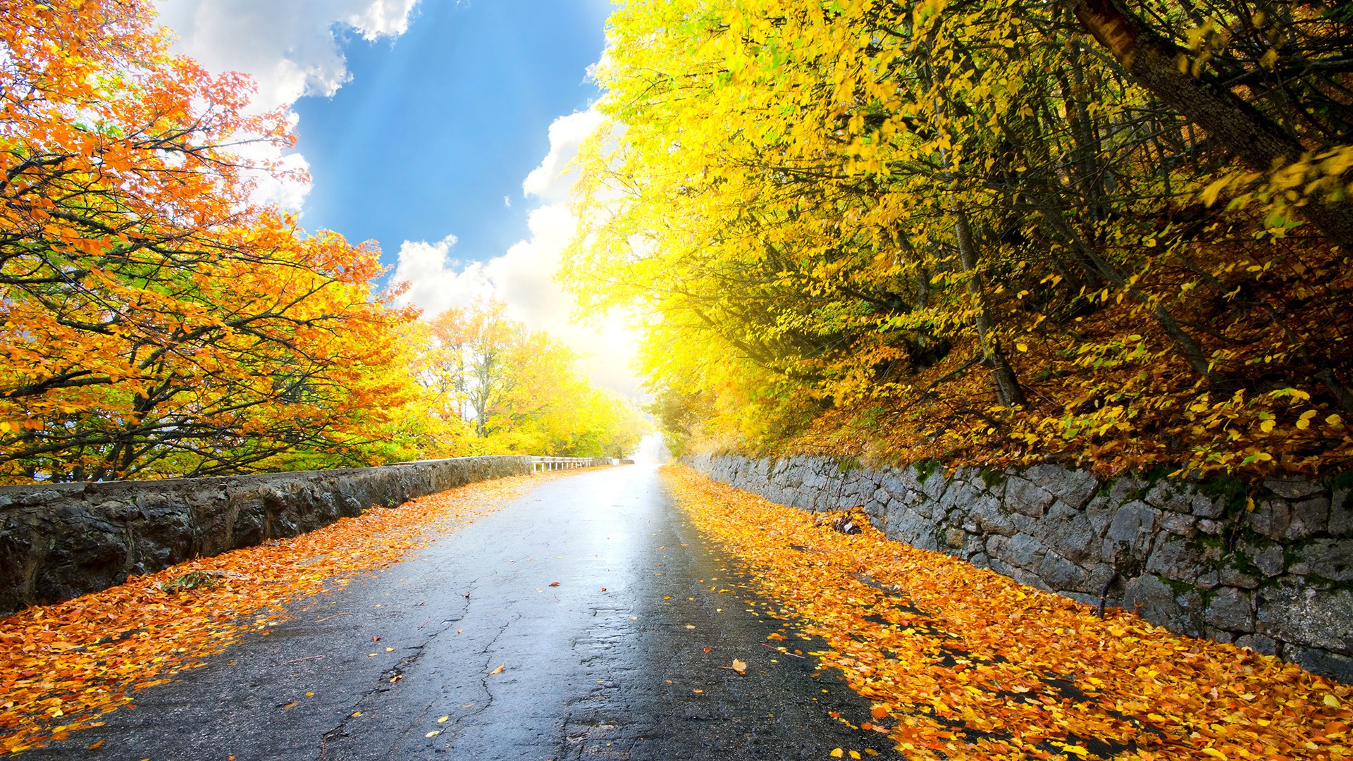 Autumn Roads Gold Yellow Foliage Scenery Wallpaper - Roads Wallpapers Free Download - HD Wallpaper 