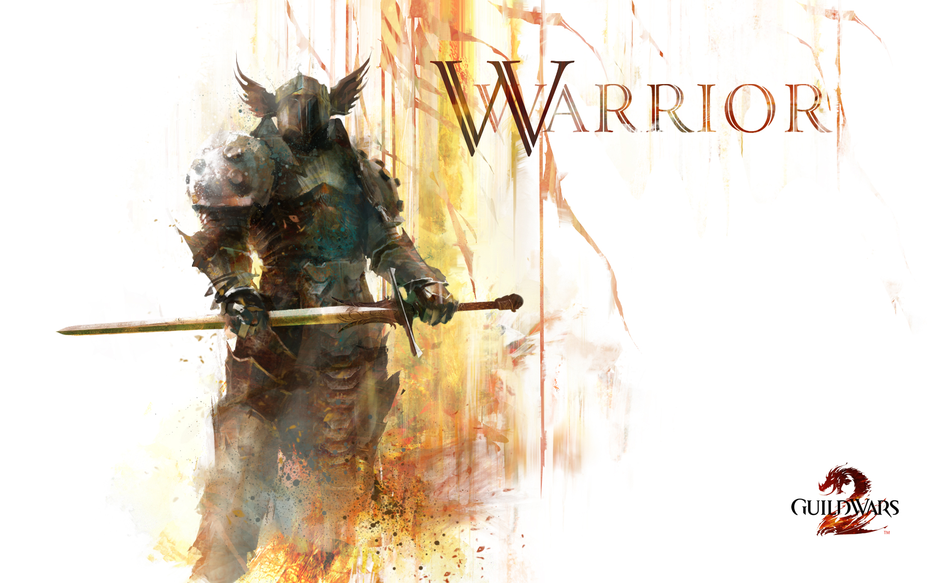 Gw2 Warrior Wide Wallpaper - Guild Wars 2 Fighter - HD Wallpaper 