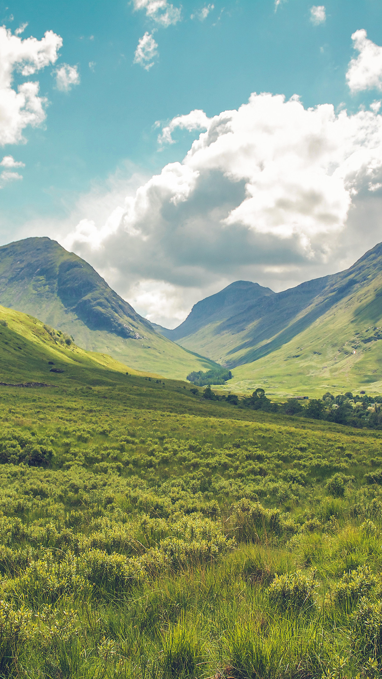 Wallpaper - HD Wallpaper 