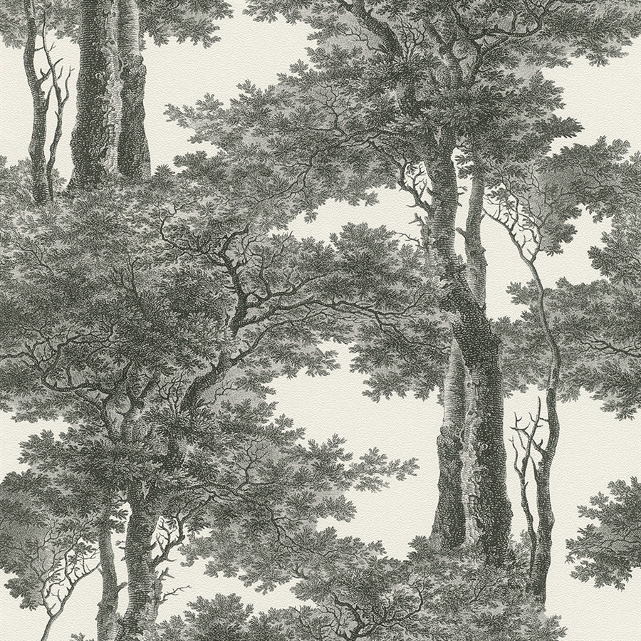 R4755 Parent - Print Wallpaper Trees - HD Wallpaper 