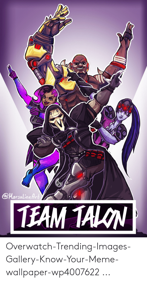 Meme, Images, And Wallpaper - Team Talon - HD Wallpaper 