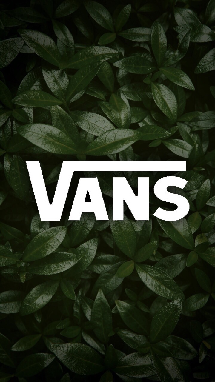 vans shoes hd wallpaper
