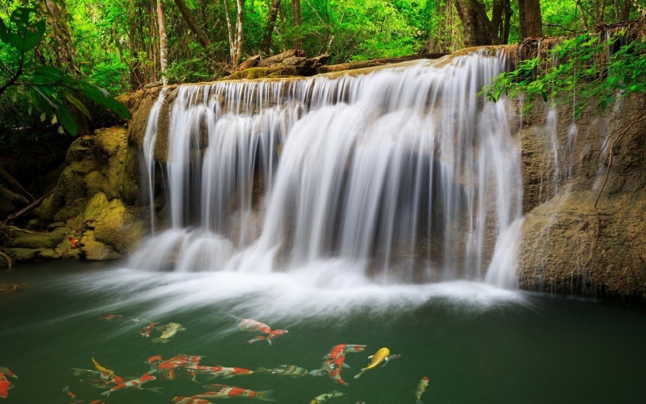 G Zel Bir Elale Und Süsser Zen Bal Manzaralar 2011 - Waterfall - HD Wallpaper 