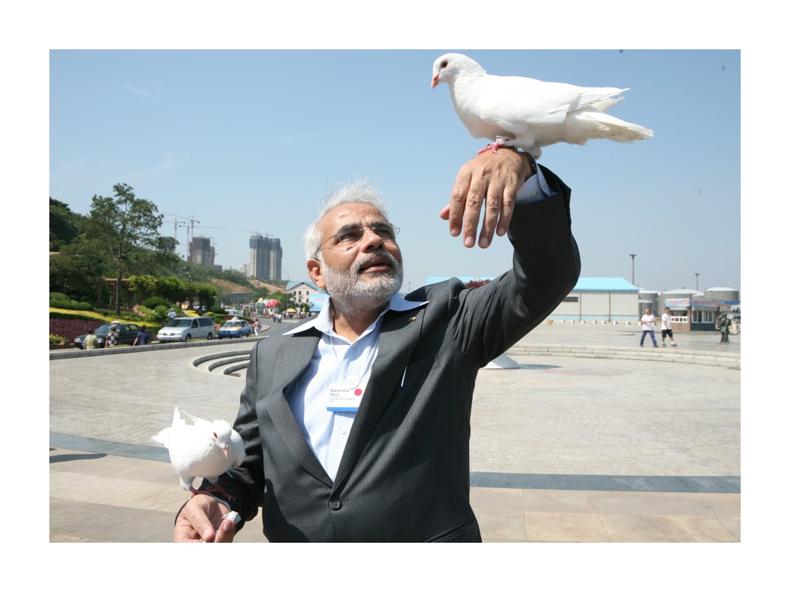 Narendra Modi Hd Wallpaper Pigeon - Narendra Modi With Pigeon - HD Wallpaper 