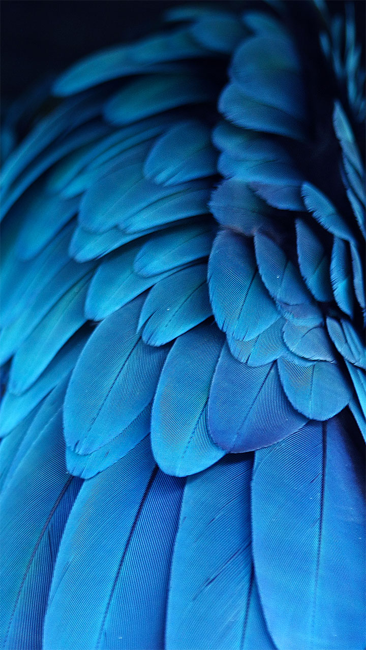 Zte Blade V8 - HD Wallpaper 