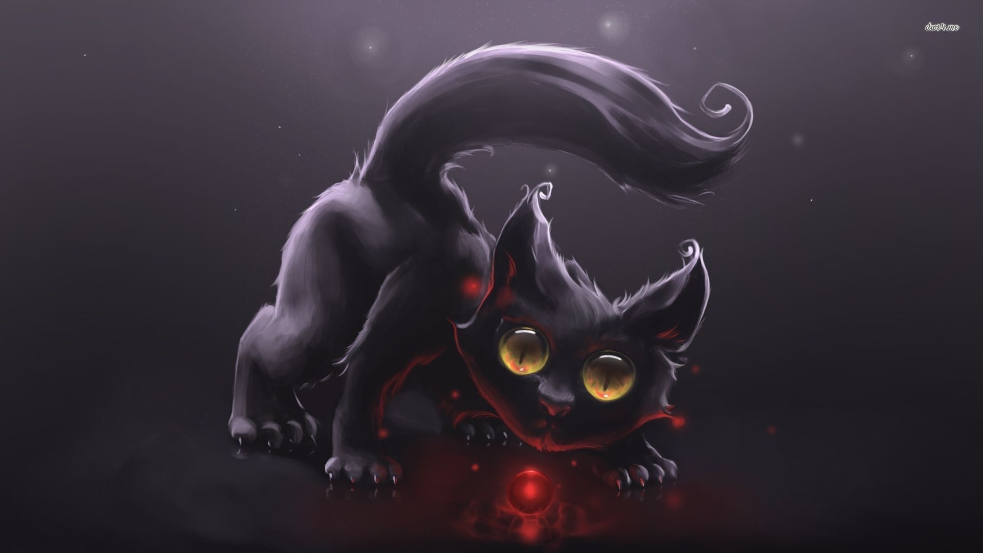 Cute Anime Black Cat - 1920x1080 Wallpaper Cute Anime Black Cat - 1920x1080 Wallpaper