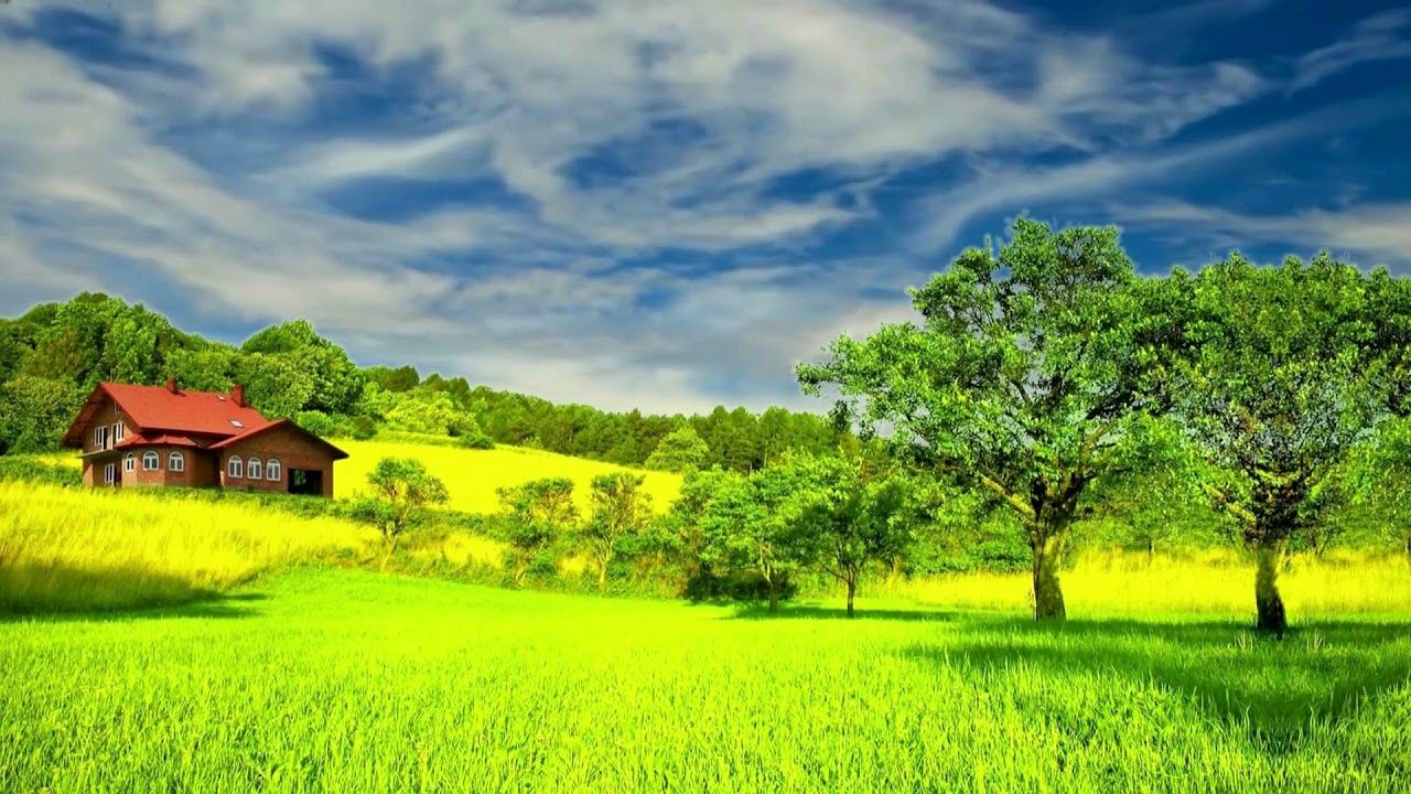 Nature Scenery - HD Wallpaper 