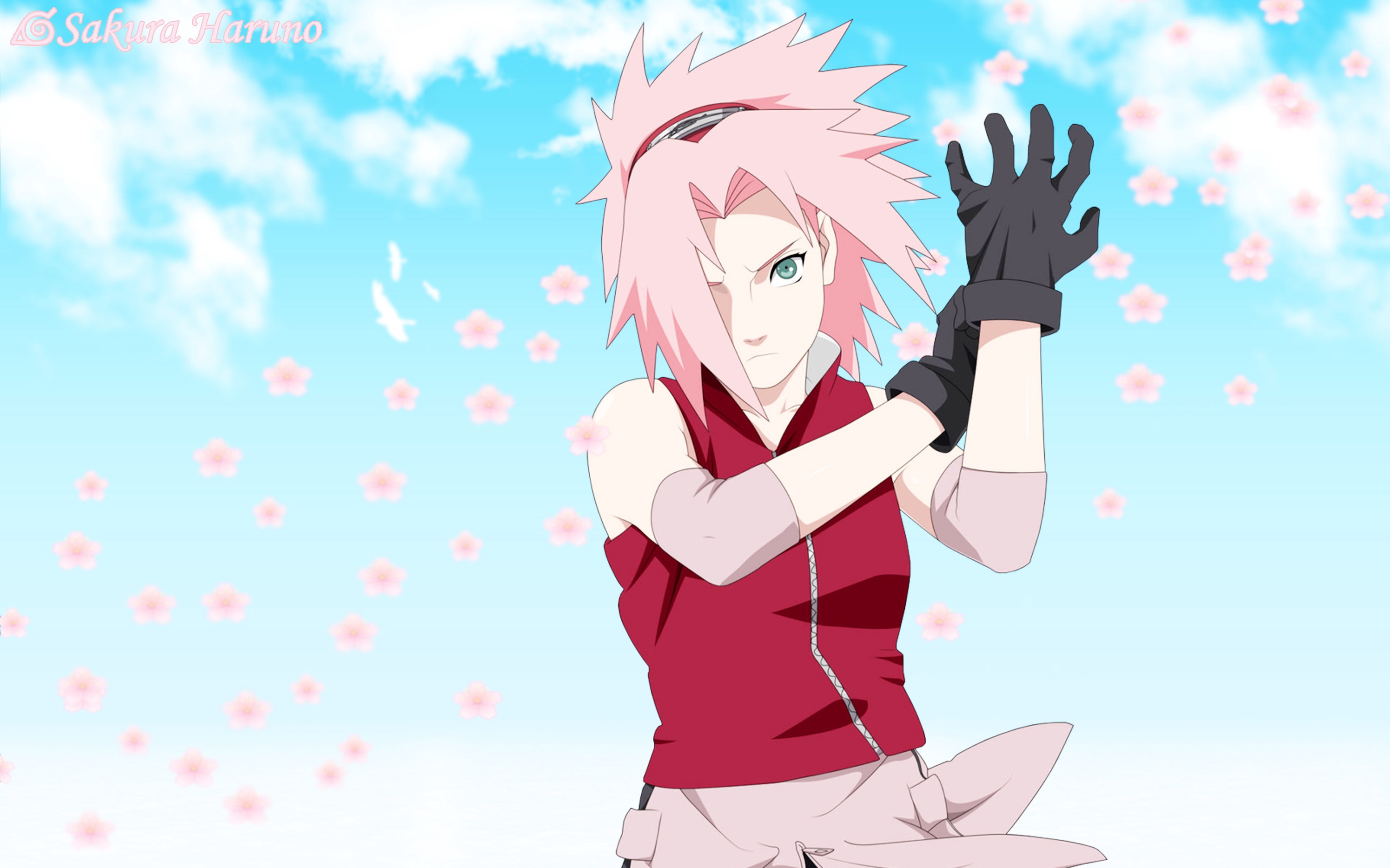 Sakura Haruno Wallpaper Hd - HD Wallpaper 
