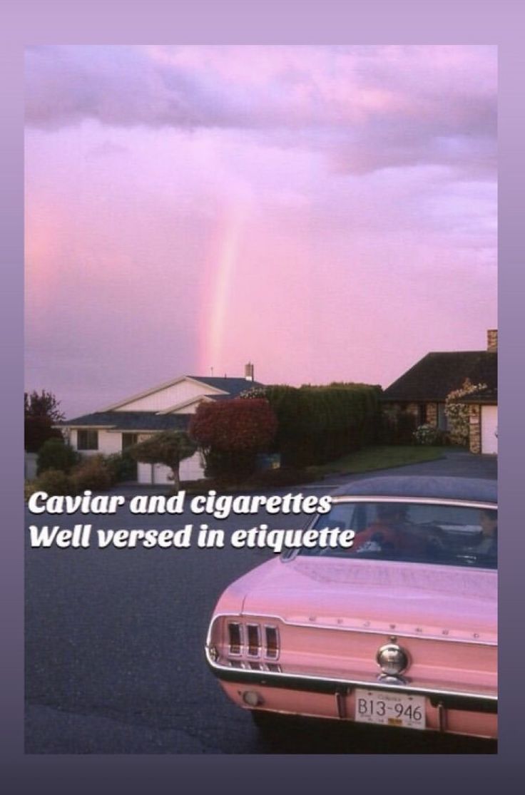 Ve Understood That You Ll Never - HD Wallpaper 