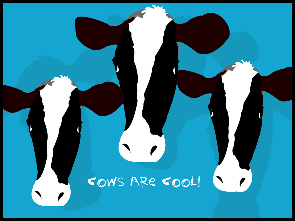 Cows Are Cool - HD Wallpaper 