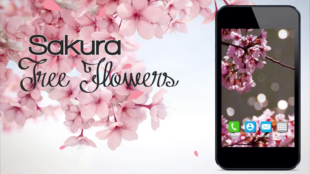 Smartphone - HD Wallpaper 