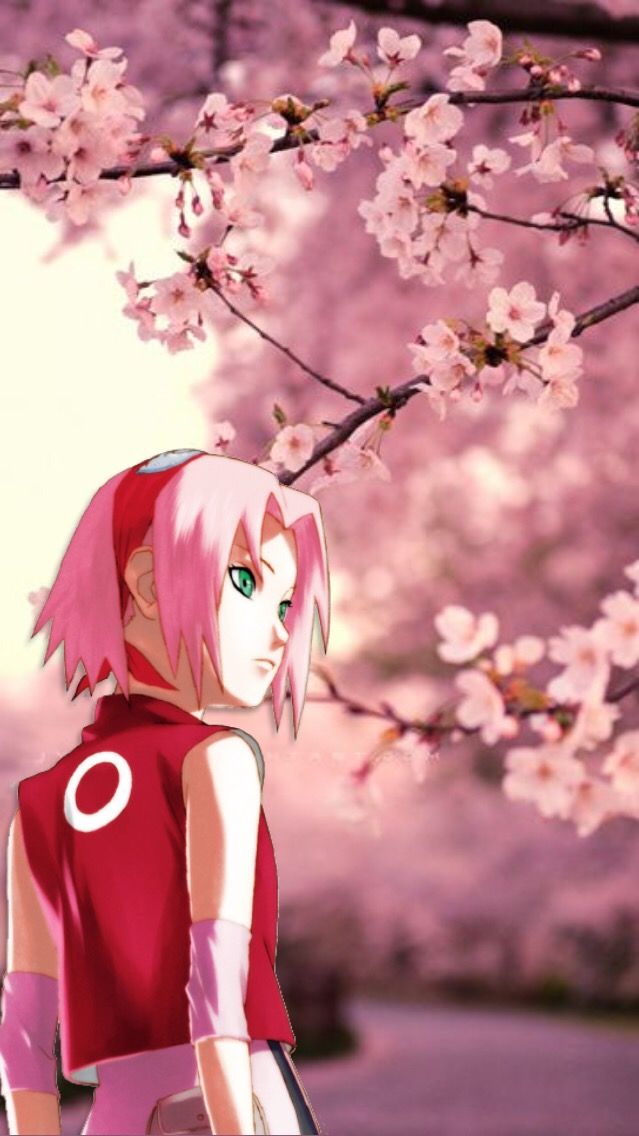 #wallpaper #naruto #sakura #haruno - Cherry Blossom Tree Background - HD Wallpaper 