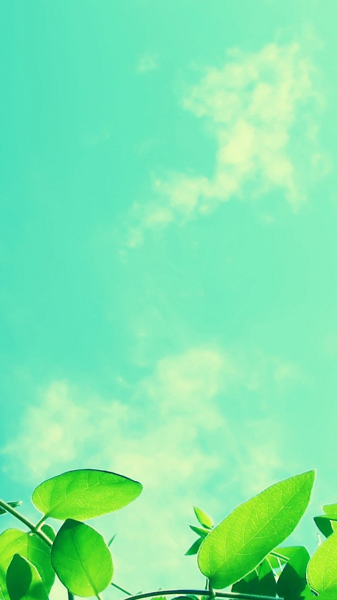 Green Leaves Blue Sky Iphone 6 Wallpapers Hd - HD Wallpaper 