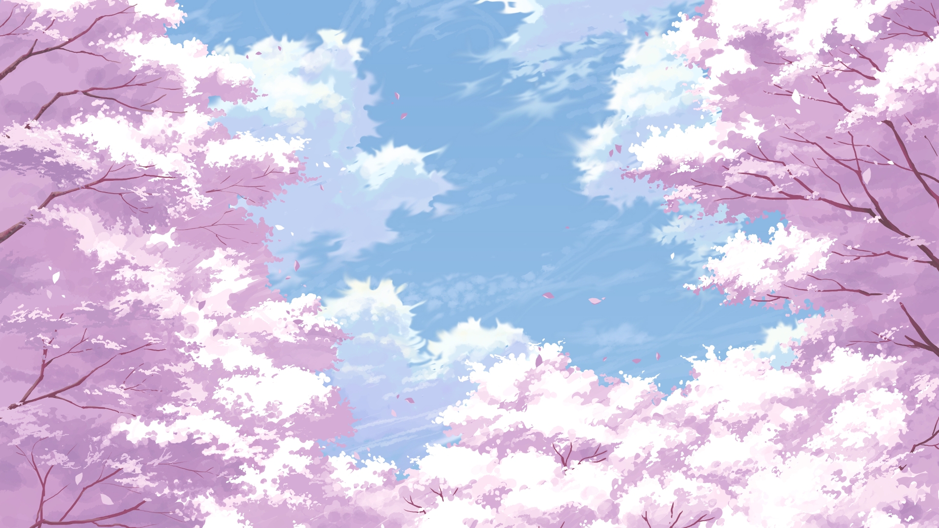 Sakura Blossom, Petals, Scenery, Sky, Cherry - Cherry Blossom Background Anime - HD Wallpaper 
